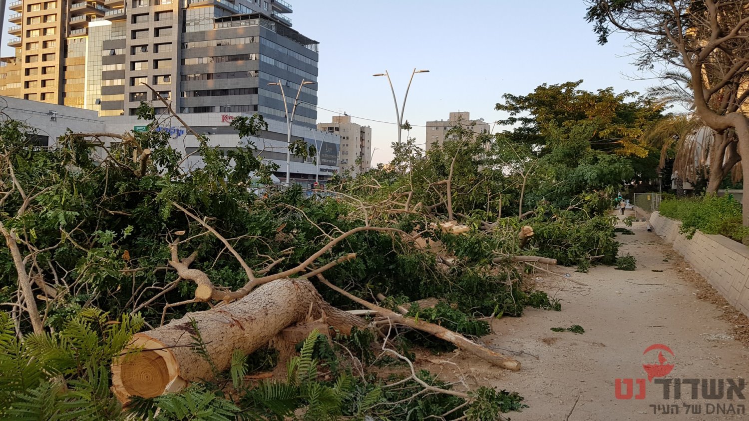 כך זה נראה בסיטי היום