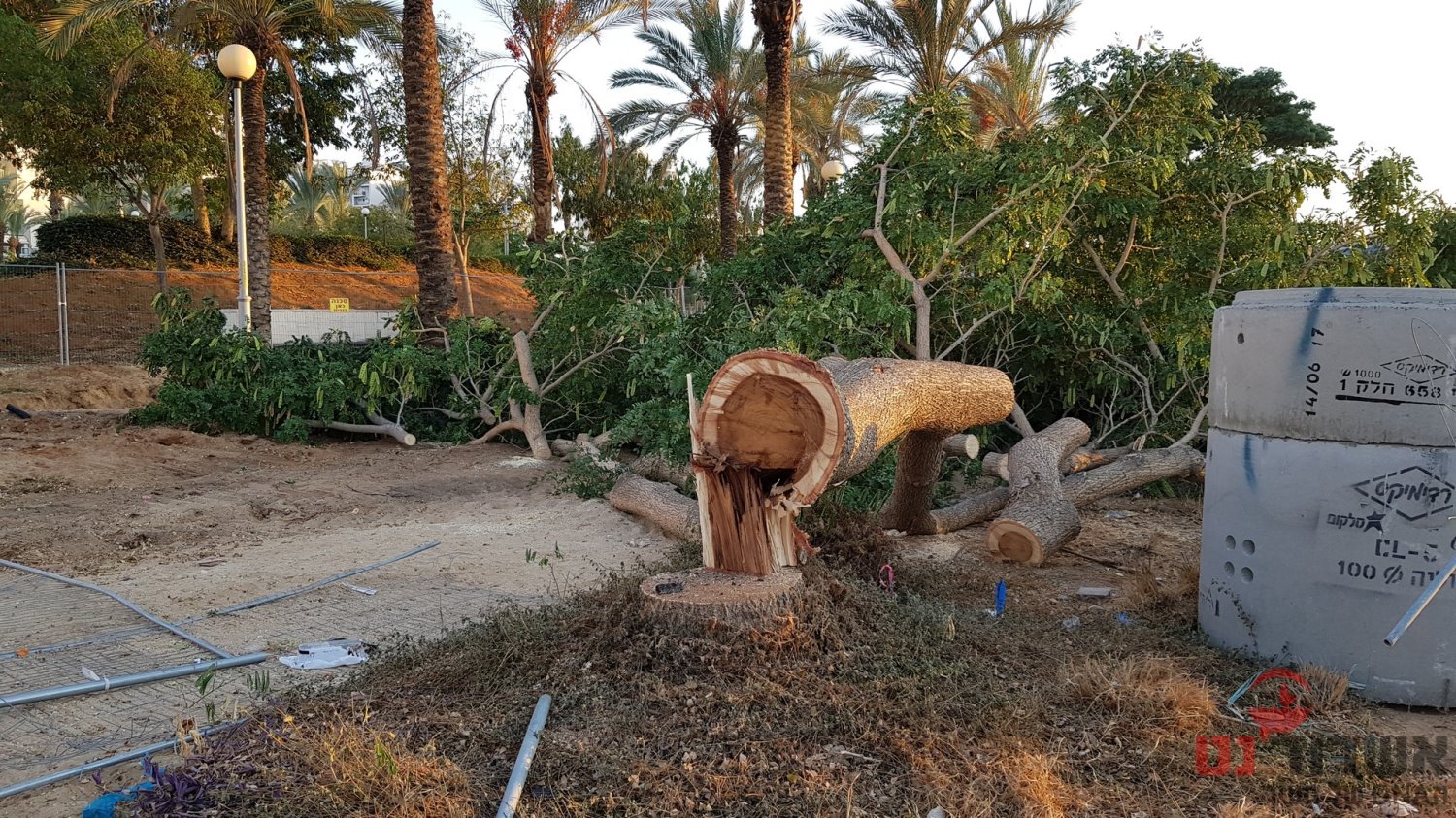 תמונה עצובה