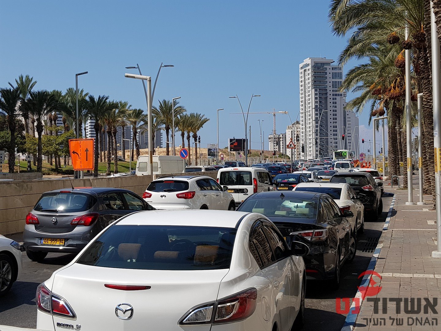 צילום: עופר אשטוקר - אשדוד נט