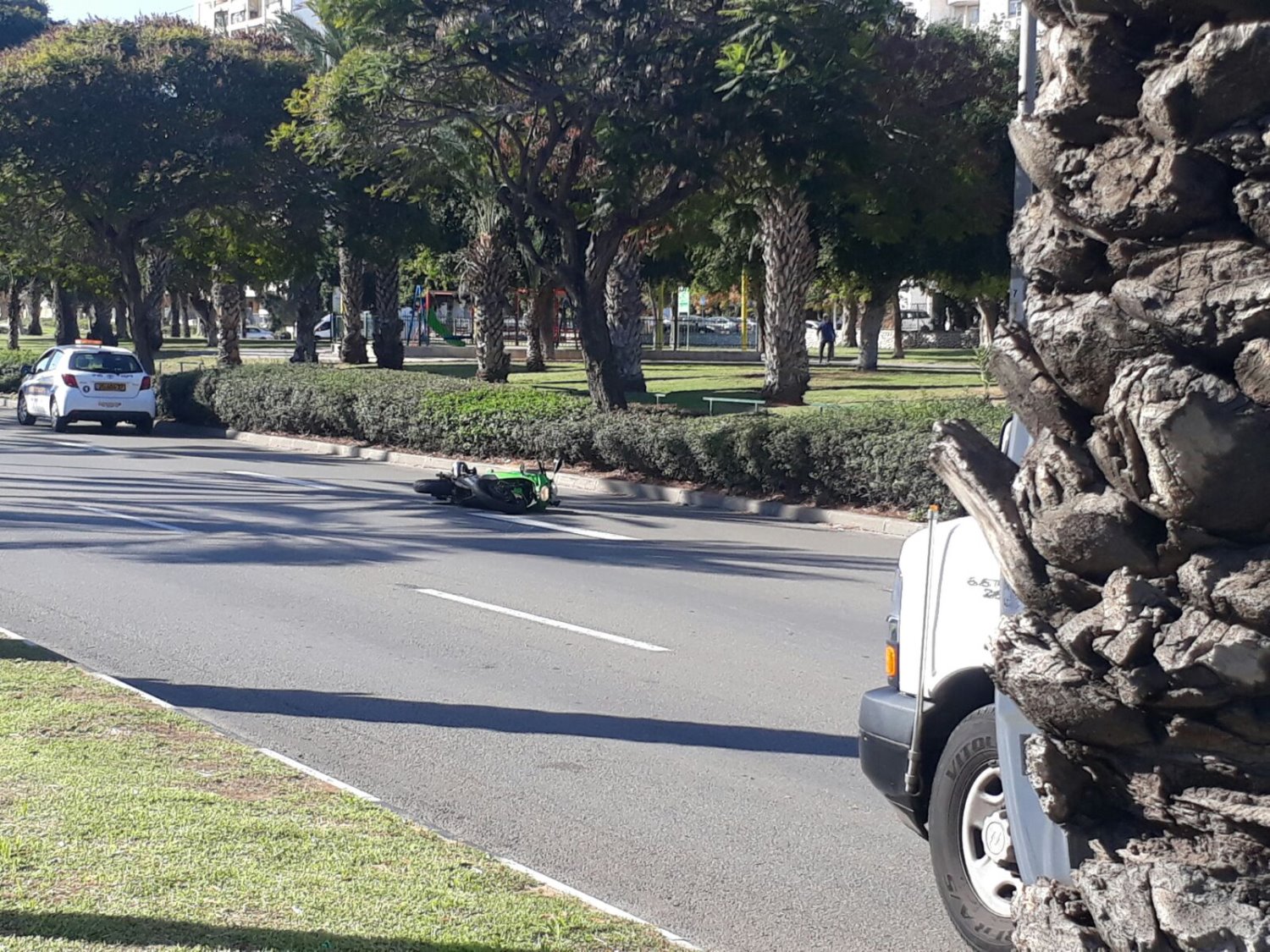 צילום: שמעון אוחיון