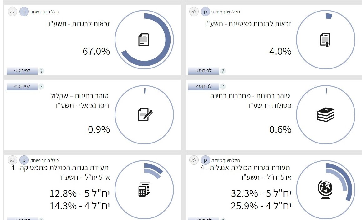 הישגים לימודיים