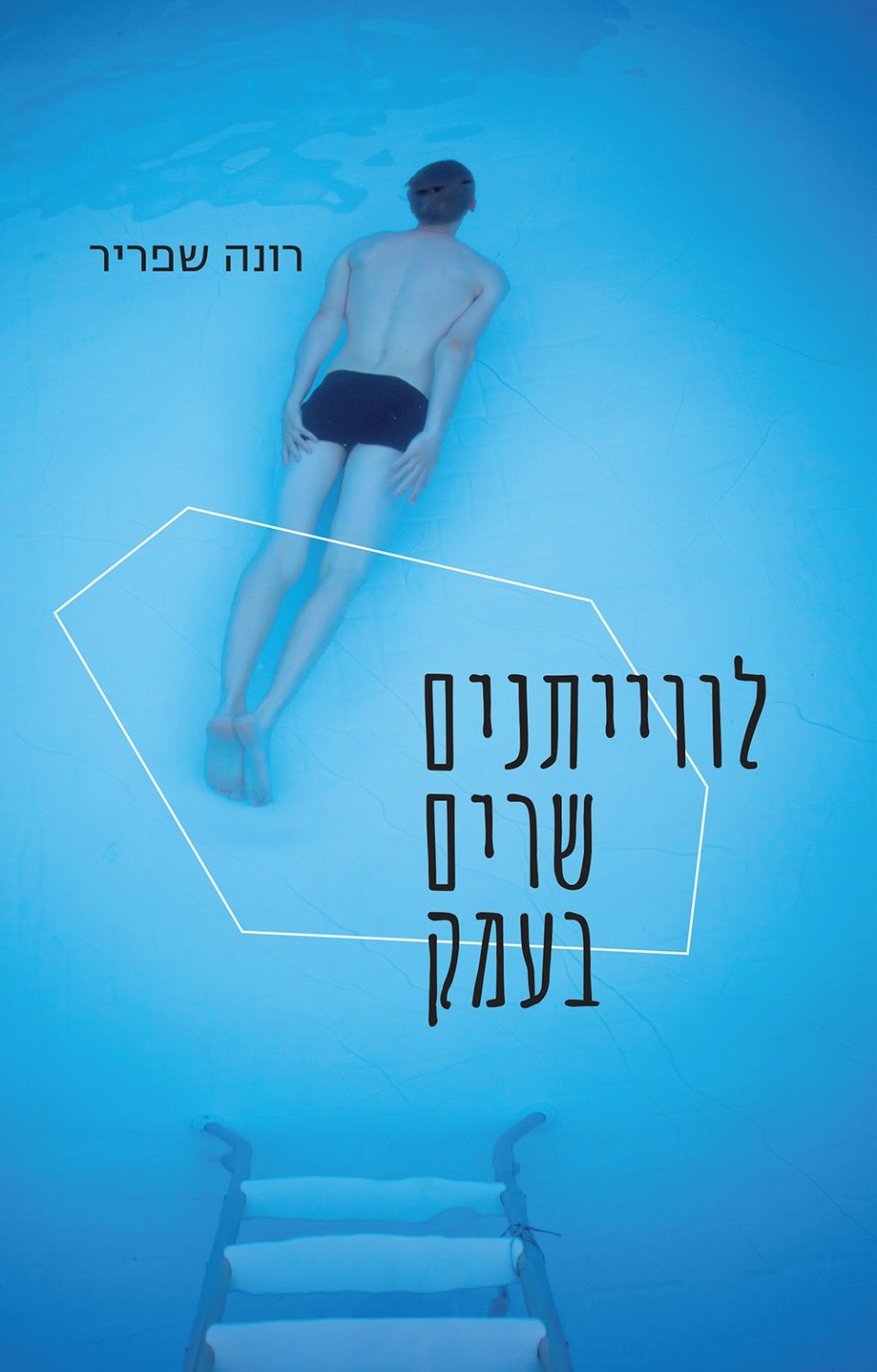 לוויתנים שרים בעמק, עטיפת הספר