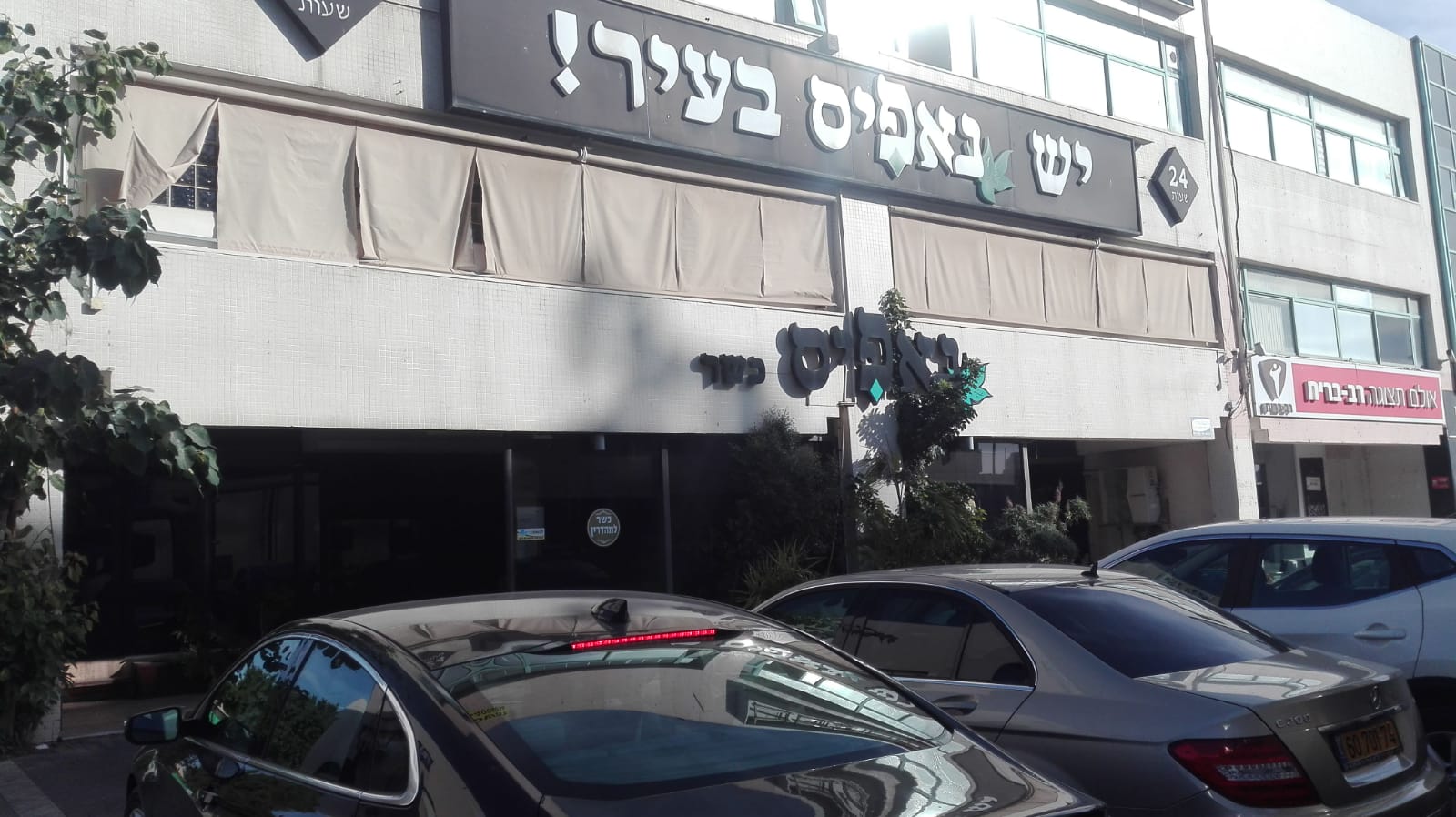 צילום: שמואל סרדינס