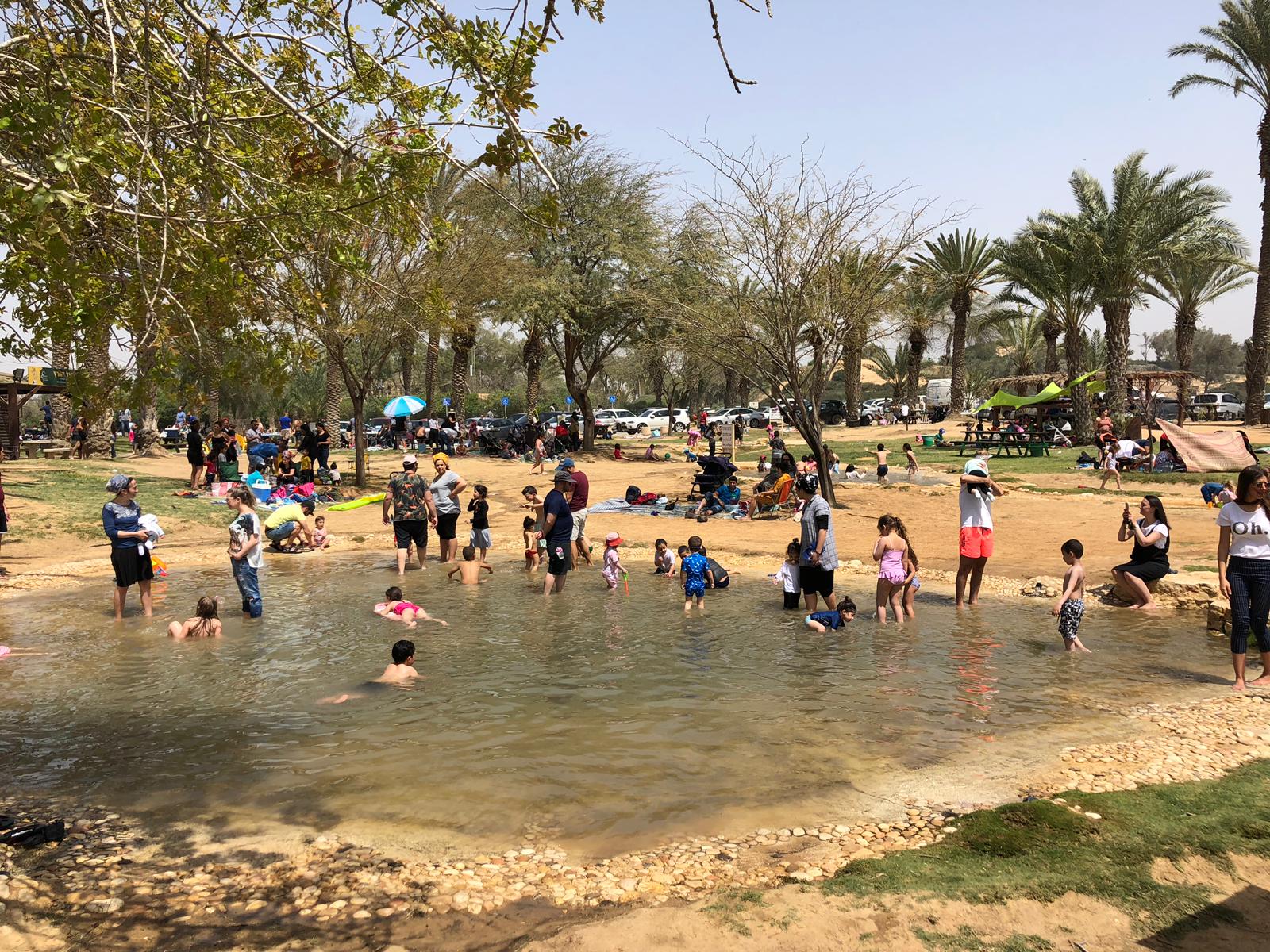 פארק אשכול. צילום: אליאב יהודה רשות הטבע והגנים