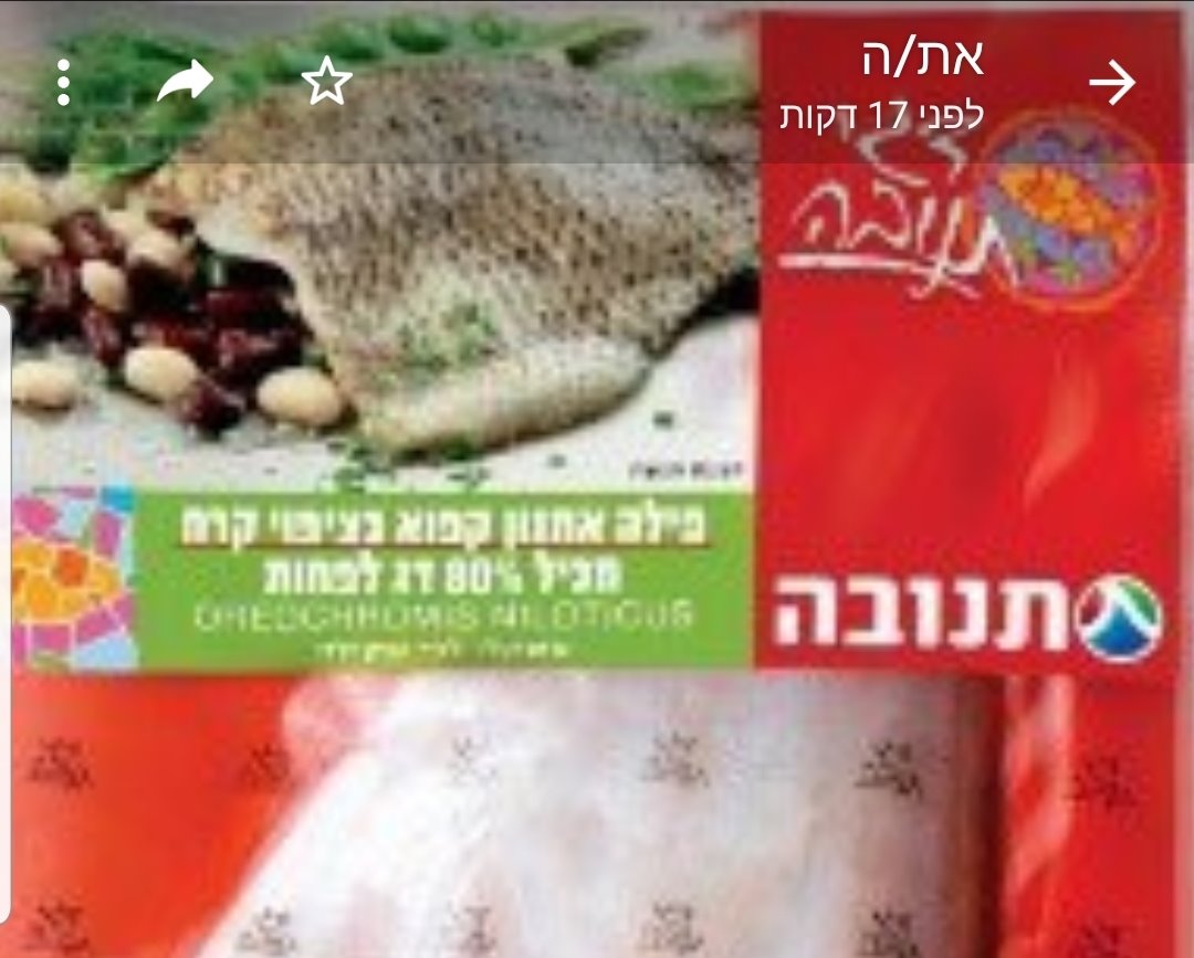 צילום באדיבות תנובה