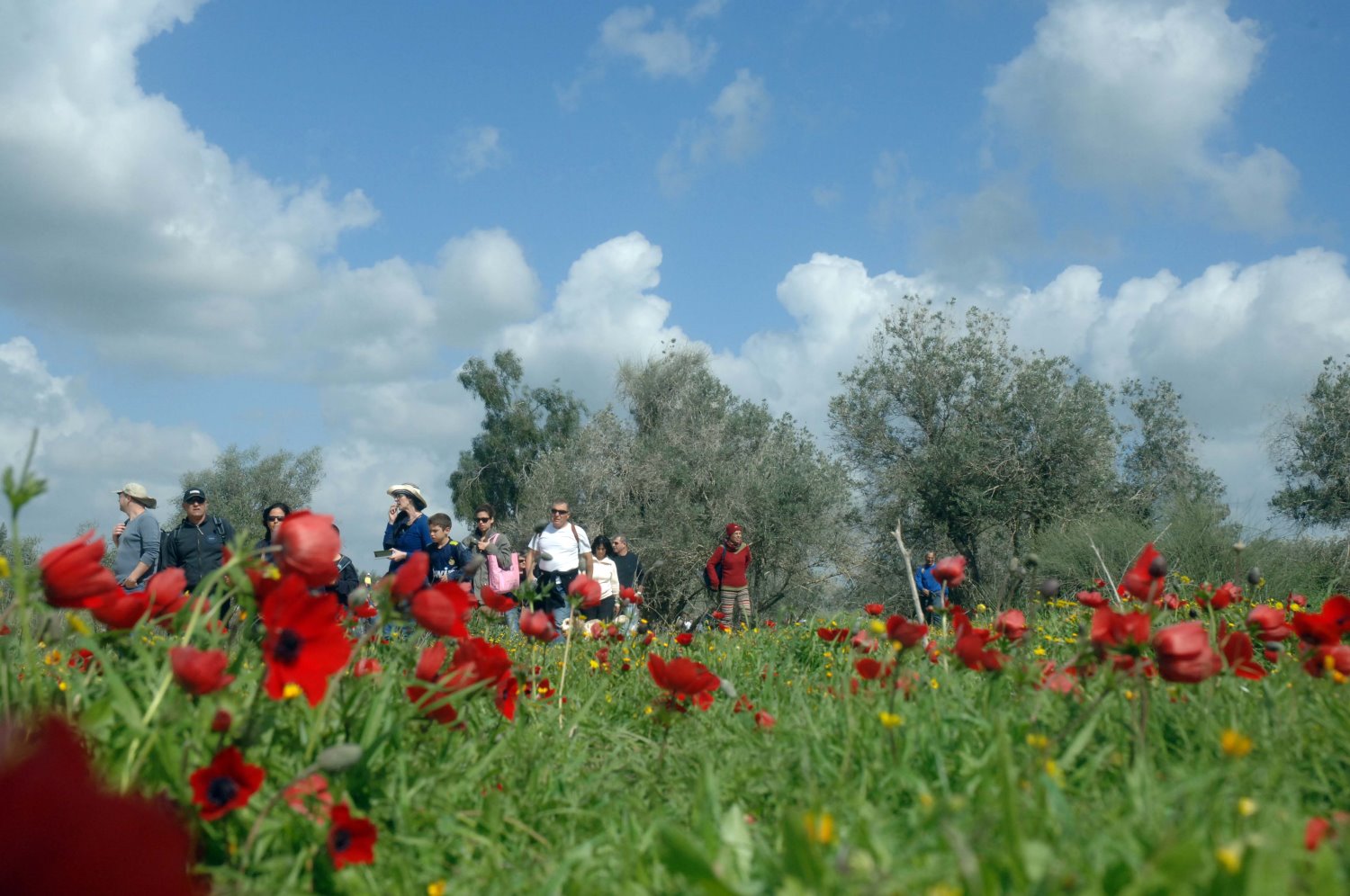 דרום אדום. קרדיט: דודו גרינשפן קק"ל