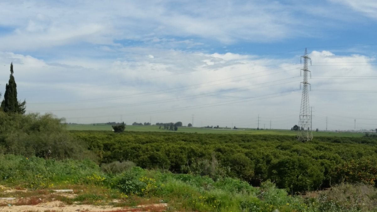 האזור בו נמכרות הקרקעות