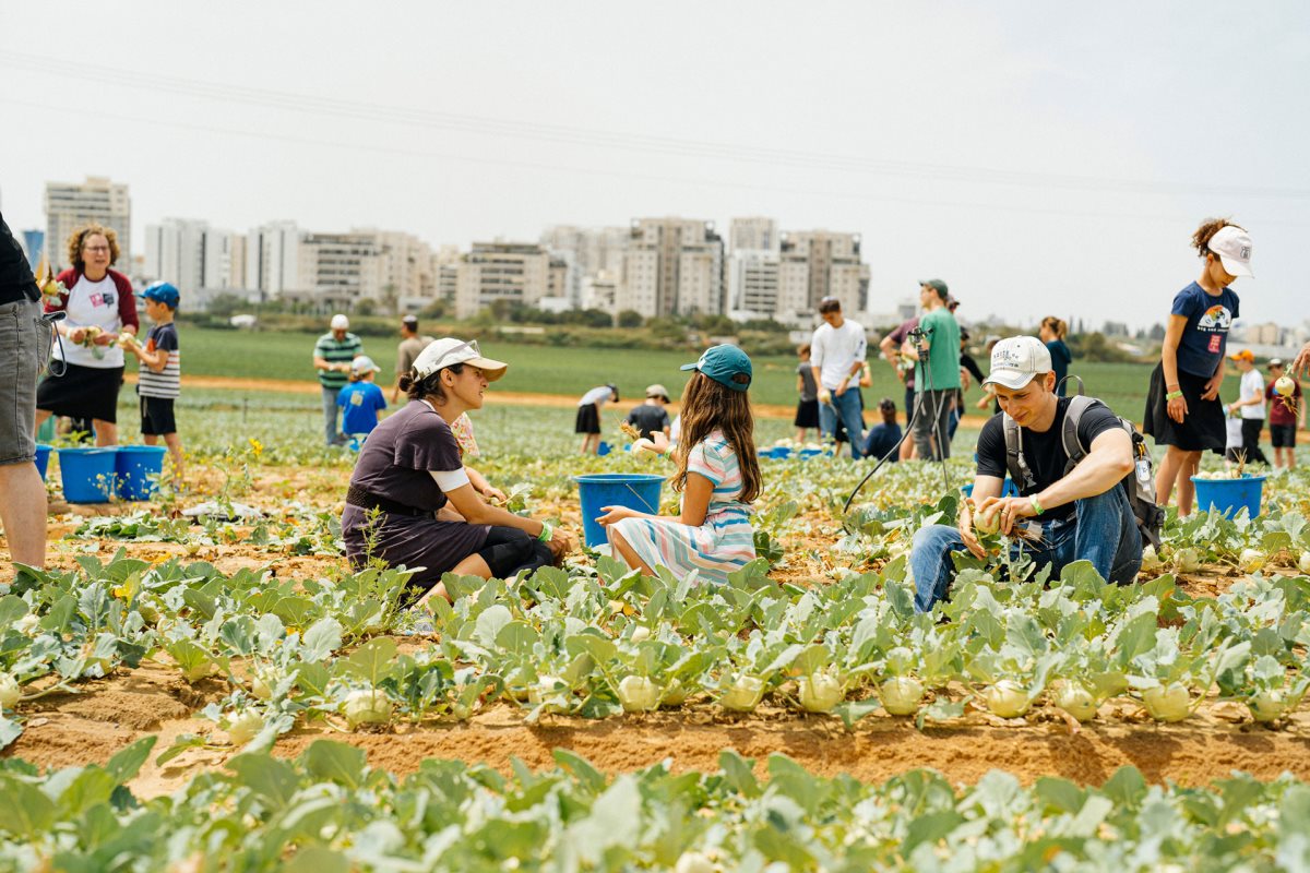 קרדיט: אמיר יעקובי