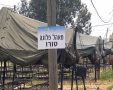 אגב - הצילום הוא של דובר צה"ל